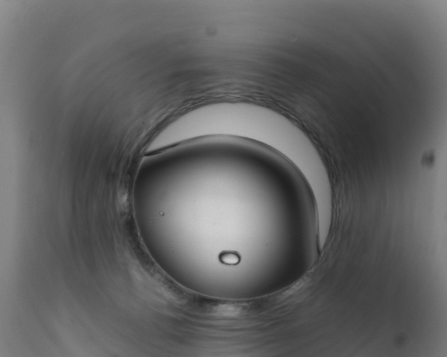 X0000112410176200908281823