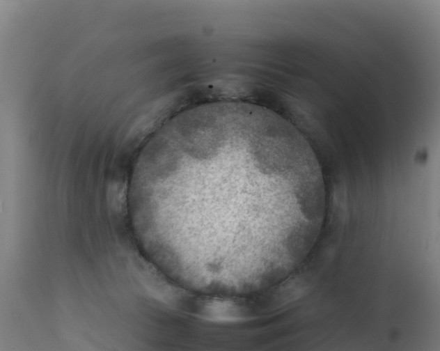 X0000112410177200908281823