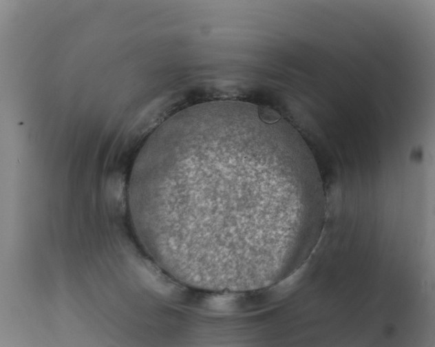 X0000112410178200908281823