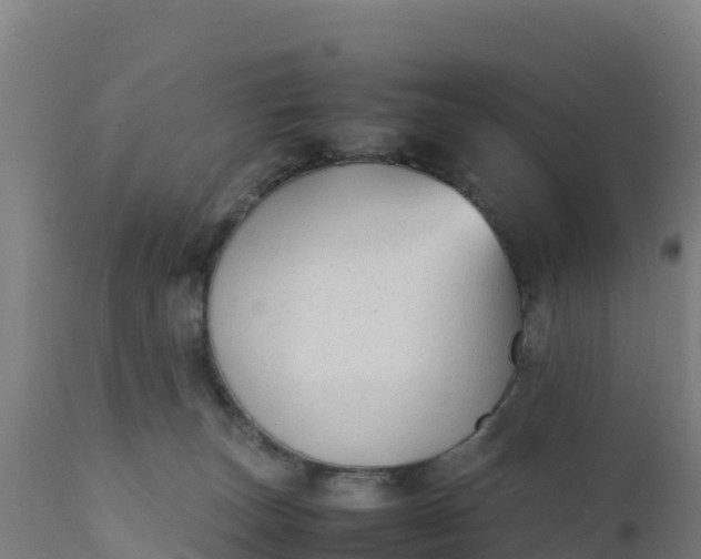 X0000112410179200908281823