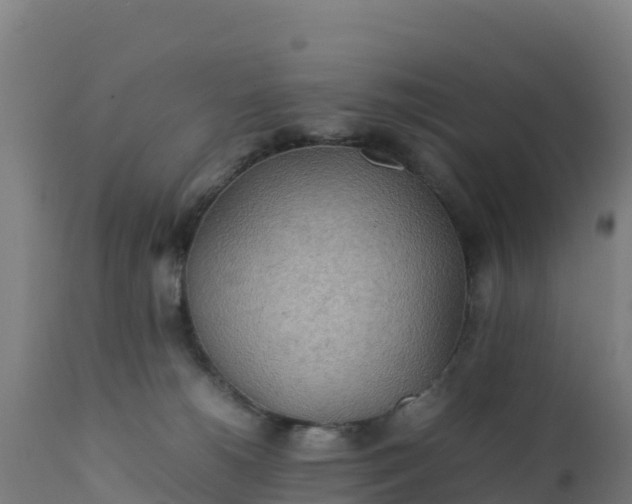 X0000112410180200908281823