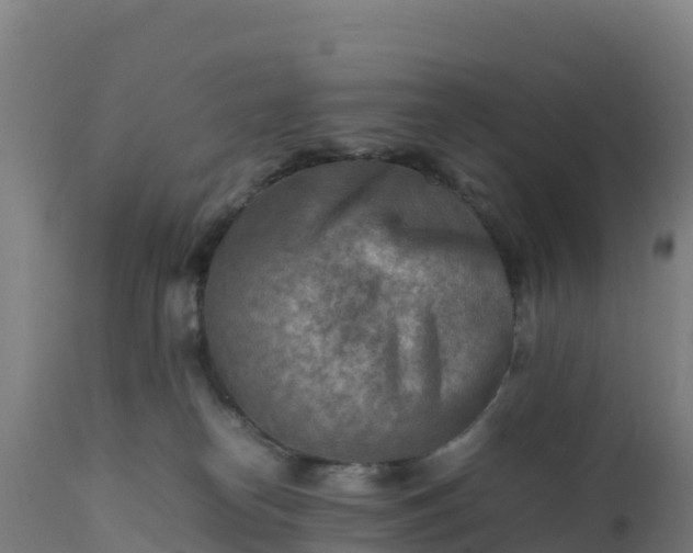 X0000112410182200908281823