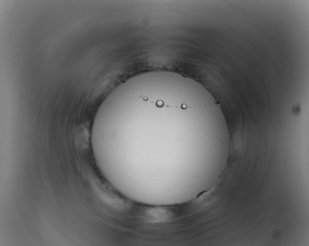 X0000112410183200908281823