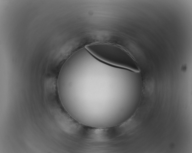 X0000112410184200908281823