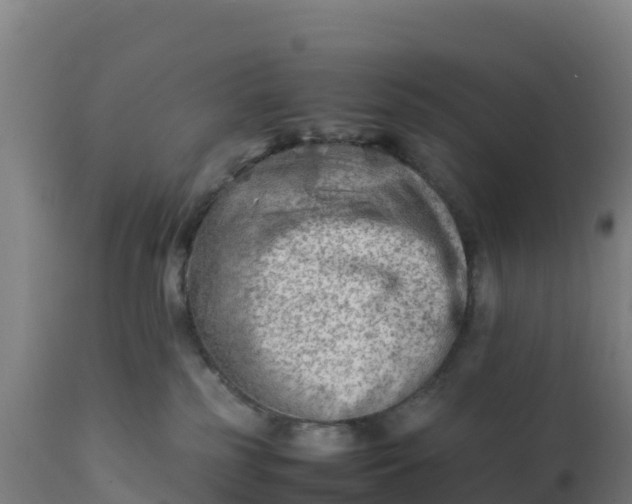 X0000112410185200908281823