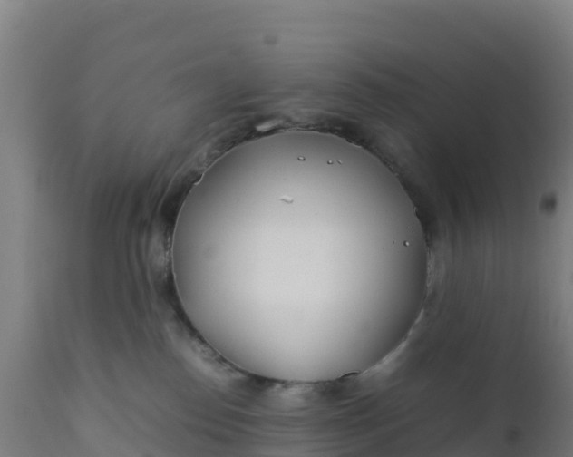 X0000112410186200908281823