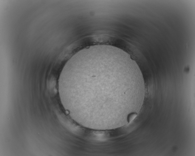 X0000112410187200908281823