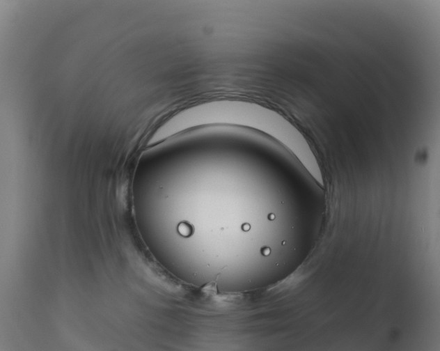 X0000112410188200908281823