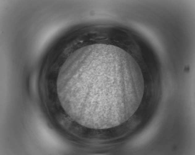 X0000112410189200908281823