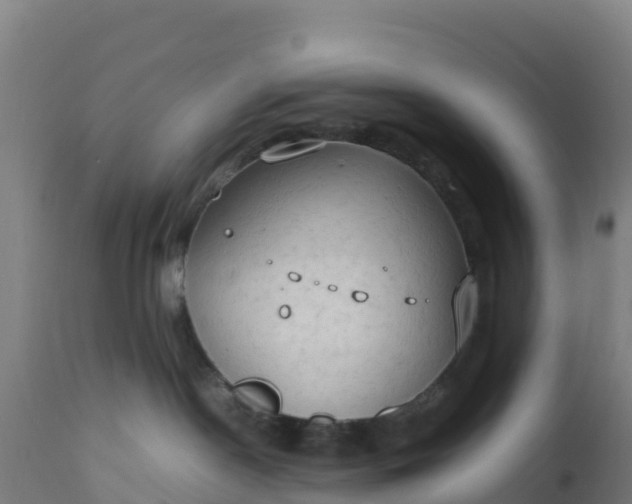 X0000112410190200908281823