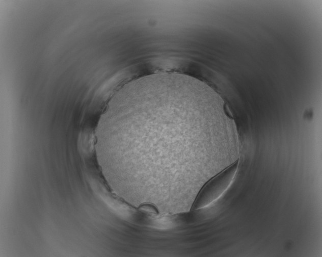 X0000112410191200908281823