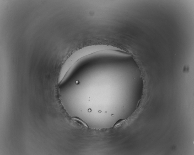 X0000112410192200908281823