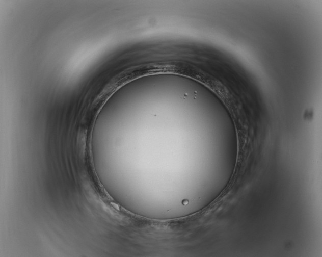 X0000112410194200908281822