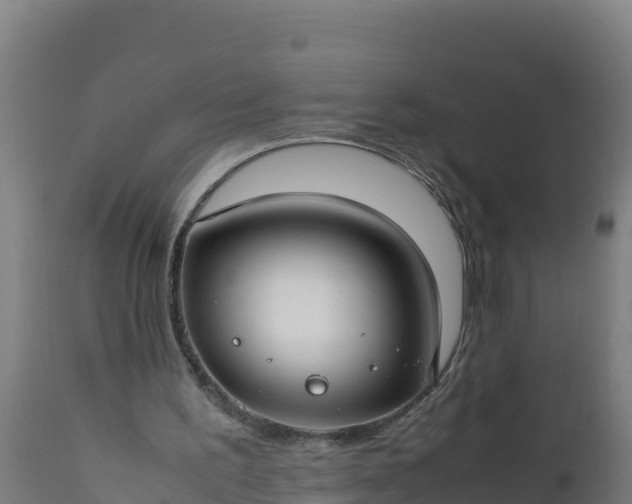 X0000112410195200908281822