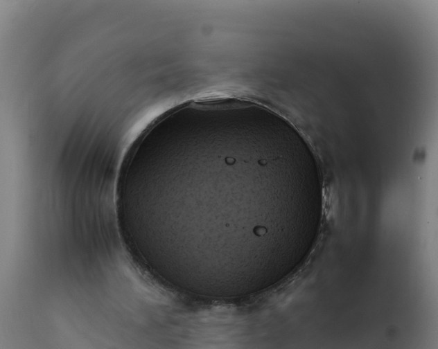 X0000112410196200908281822