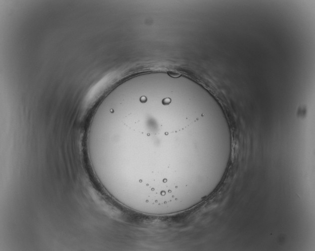 X0000112410197200908281822