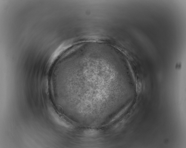 X0000112410198200908281822