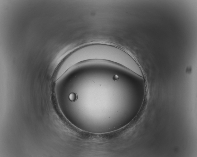 X0000112410199200908281822