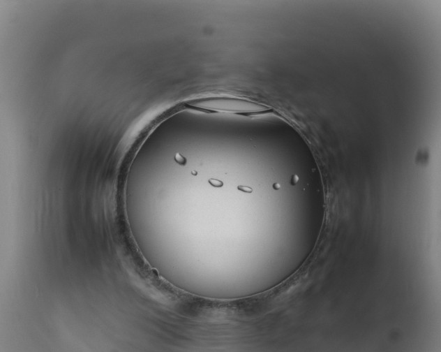 X0000112410200200908281822