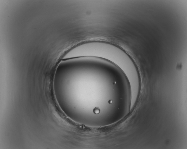 X0000112410201200908281822