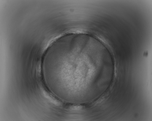 X0000112410202200908281822