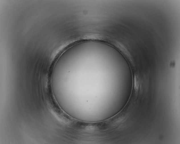 X0000112410204200908281822