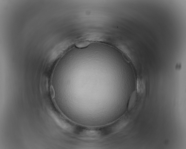 X0000112410205200908281822