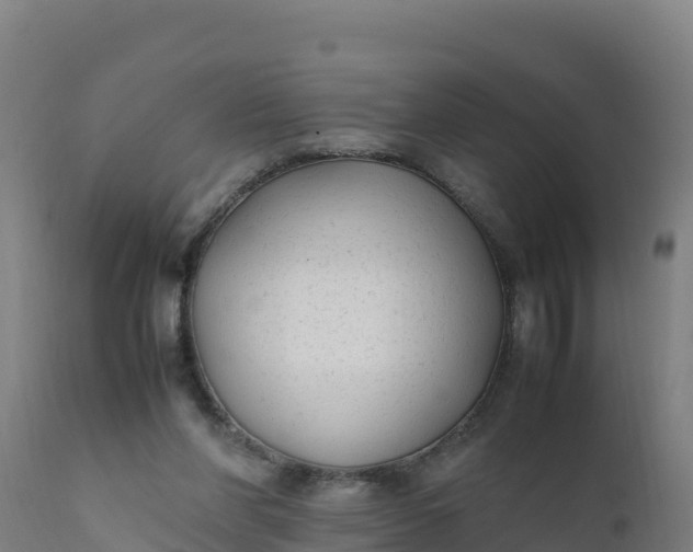 X0000112410206200908281822