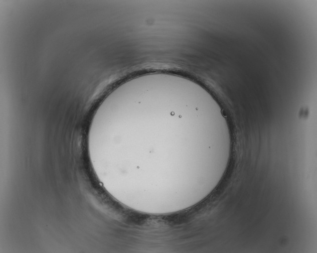 X0000112410207200908281822