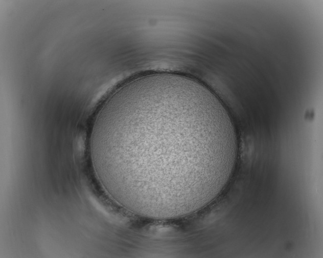 X0000112410208200908281822