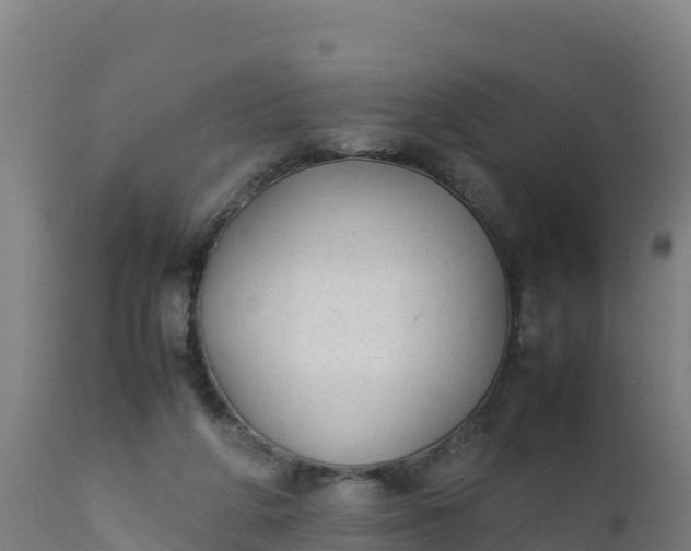 X0000112410210200908281822