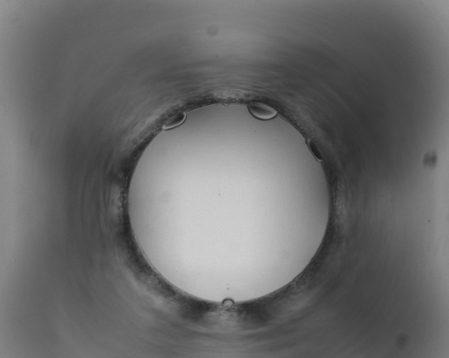 X0000112410211200908281822