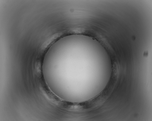 X0000112410212200908281822