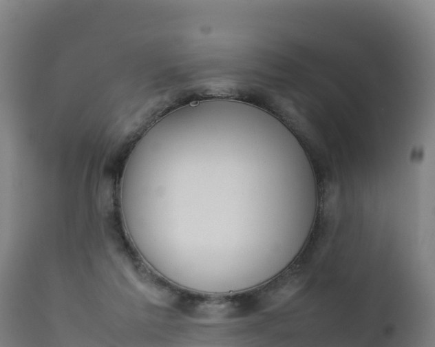 X0000112410213200908281822