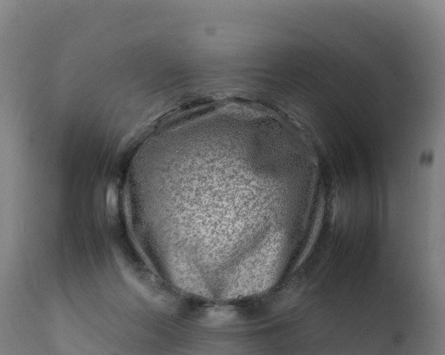 X0000112410214200908281822