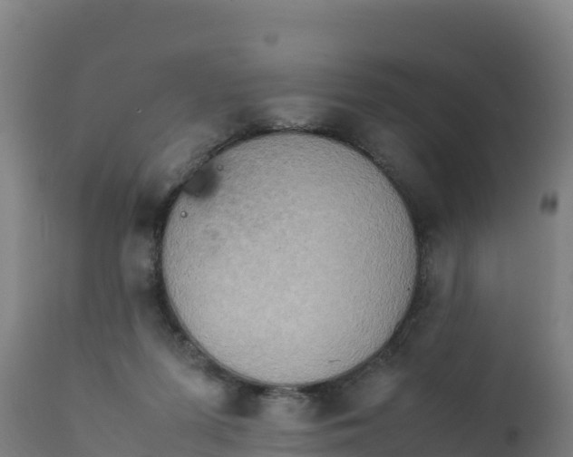 X0000112410215200908281822