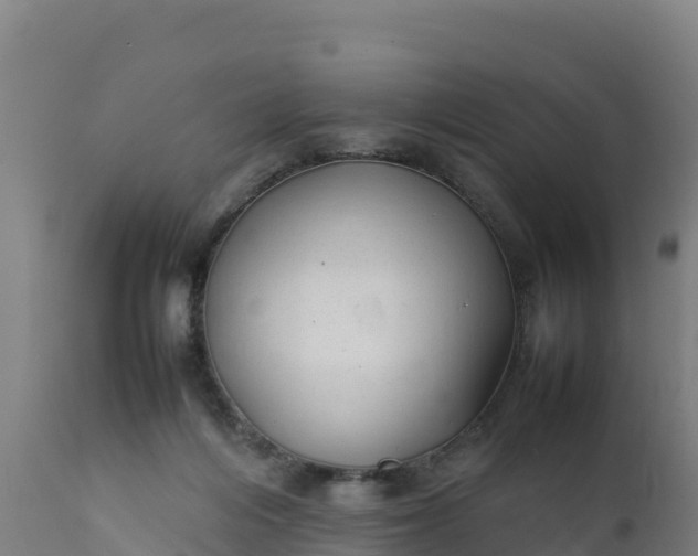 X0000112410216200908281822