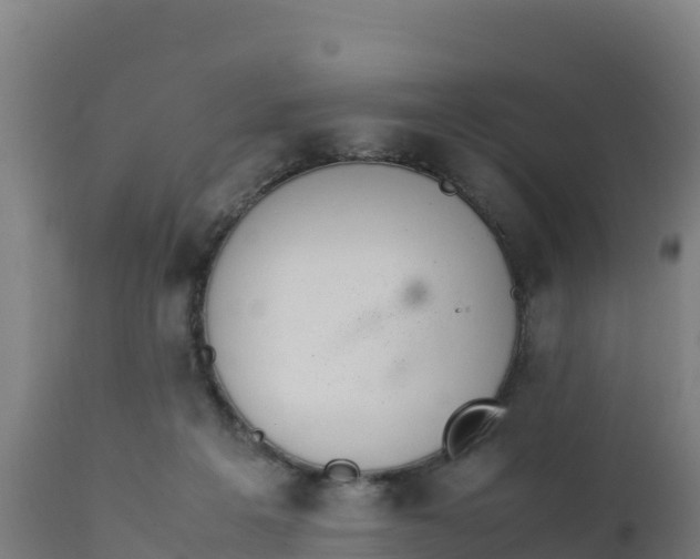 X0000112410217200908281822