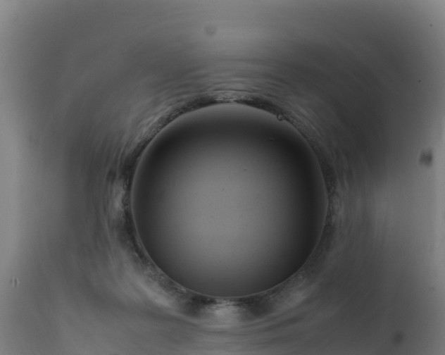 X0000112410219200908281822