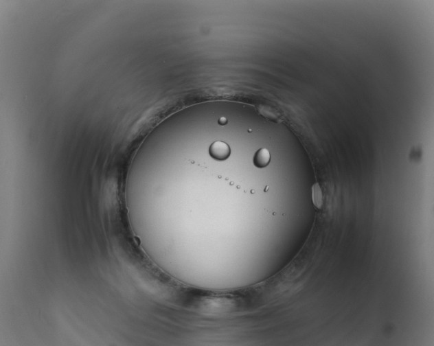 X0000112410220200908281822