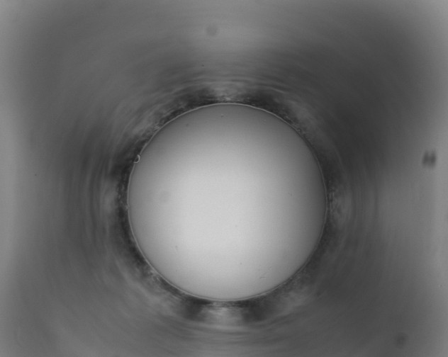 X0000112410221200908281822