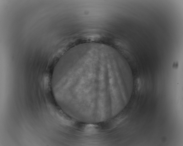 X0000112410222200908281822