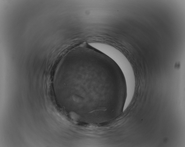 X0000112410223200908281822