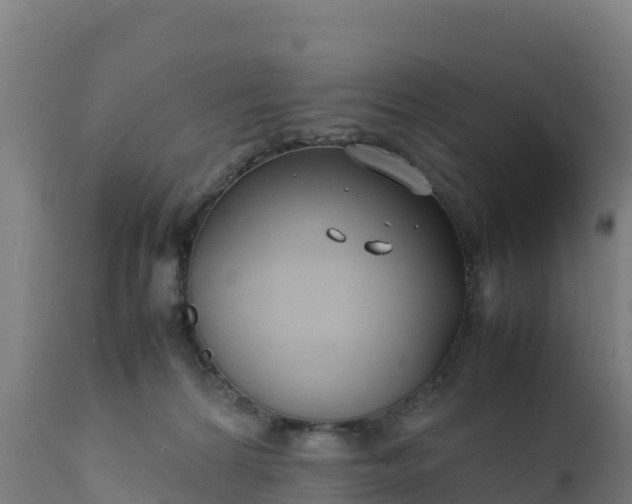 X0000112410224200908281822