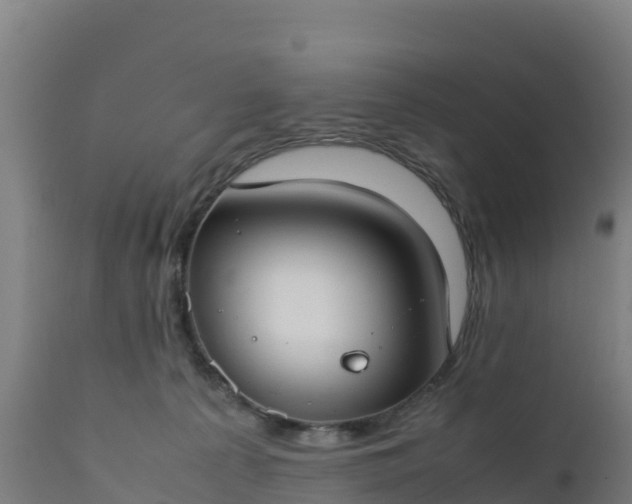 X0000112410225200908281822