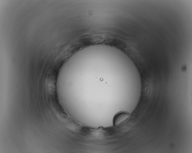 X0000112410226200908281822