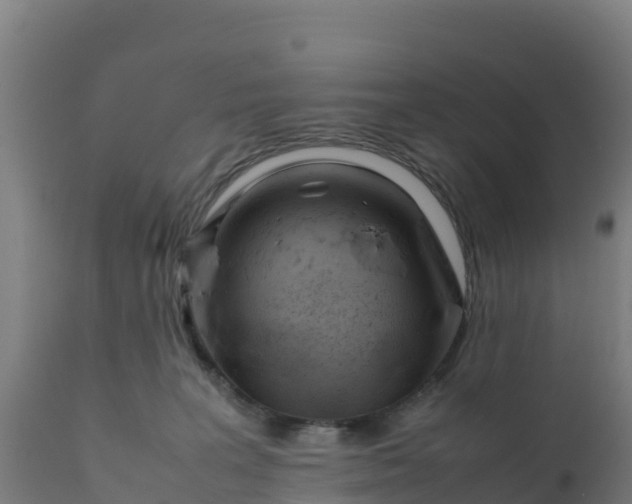 X0000112410227200908281822