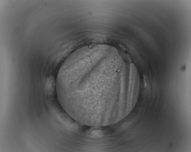 X0000112410228200908281822