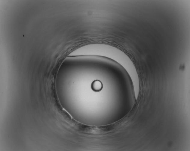 X0000112410229200908281822