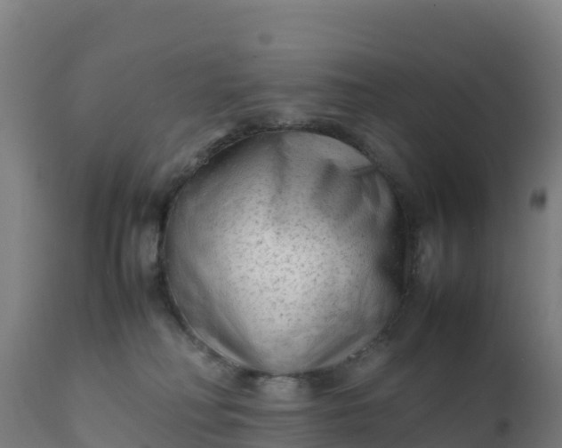 X0000112410230200908281822